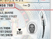 Roadtestresults.nyrtsscheduler. Road Test Results