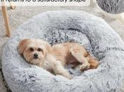 I've Already Bought These Pets!