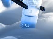 Global Cell Cryopreservation Market Estimated Witness High Growth Owing Technological Advancements