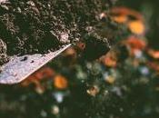 Permaculture: Everything Need Know