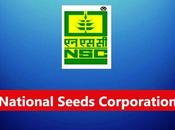 National Seeds Corporation Recruitment 2023 Posts