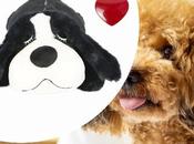 Ease Their Loneliness, Fear, Anxiety!