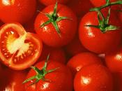 Global Tomato Lycopene Market Estimated Witness High Growth Owing Increasing Demand Natural Antioxidants