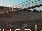 Longest String Bridge Israel. JERUSALEM NIGHT (video)