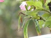 Missed Opportunities