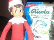 Rascal Woke With Horrible Cough This Morning