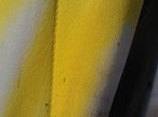 Look What Found Dumpster?