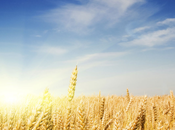 Loved Country Music 2013