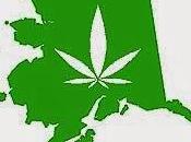 Alaska Will Vote Marijuana Legalization
