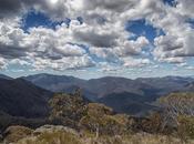 Zeka Spur Track, Alpine National Park, Victoria. November 2013.