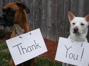 World’s Best Images Dogs Saying Thank