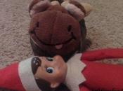 Rascal Over Moose……