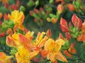 Looking Backward Mark Forward Progress