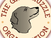 Senior Dogs Need Good Sendoffs