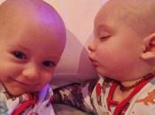 2013's Additions 365/365