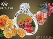 Whiteflash Rings 2014 with Jewelry Calendar