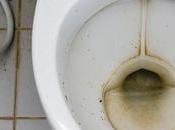 Tips Prevent Toilet Rust