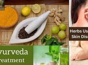 Ayurvedic Herbs Useful Skin Diseases