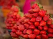 Weekend Getaways Near Pune Quick Vacation 2023!