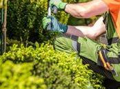 Sow, Grow, Glow: Post-Landscaping Cleanup Made Simple!