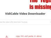 VidiCable Review: Best Video Recorder Downloader?