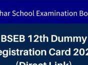 Bihar Board Class 12th Dummy Admit Card 2024