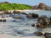 Know Holy City Udupi Some Offbeat Islands Beaches? Visit Explore 2023