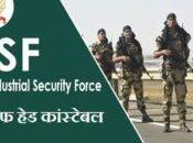 CISF Steno, Ministerial Answer 2023