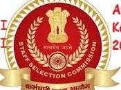 Paper Final Answer 2023