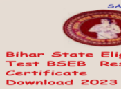 Bihar State Eligibility Test BSEB Result Certificate Download 2023