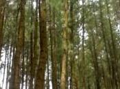 Scenic Places Vagamon Tourists Must Visit 2023 Happy Trip!