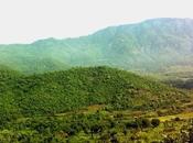 Araku Valley Guide 2023: Must Experiences Beaten Path Andhra Pradesh