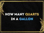 Many Quarts Gallons