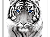 About Tiger Tattoo Designs, Placements, Their Meanings