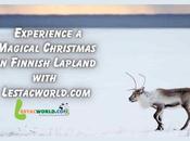 Unlocking Charms Finnish Winters: Lestacworld Redefines Travel Finland from India