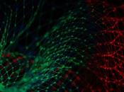 Solve Data Analysis Processing Issues Computer Vision