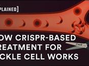 CRISPR Other Technologies Open Doors Drug Development, Which Diseases Priority? Comes Down Money Science