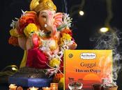 Hari Darshan Introduces Stuti Sambrani Havan Cups Pooja, Peace Positivity