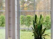 Tips Choosing Right Windows Your Home