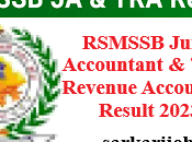 RSMSSB Junior Accountant Revenue Result 2023
