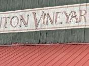 Clinton Vineyards Bought Milea Vineyards-What Means Hudson Valley Wine's Future Identity