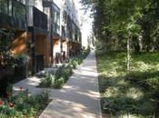 Accordia, Cambridge Residential Development