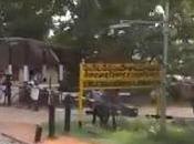 Woes Long Name Happiness Hawaiian Women....