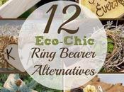 Ring Bearer Alternatives with Dash Eco-Chic
