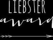 Leibster Award: Take
