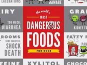 Worlds Most Dangerous Foods Dogs