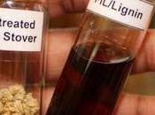 Lignin Removal Method Makes Biofuel Production Cheaper