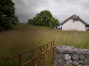 Fictography #2—”Patrick”