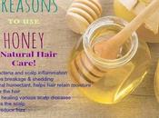 Reasons Include Honey Your Natural Hair Regimen