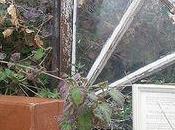 Everything Again: Collage Assemblage Creative Every Check